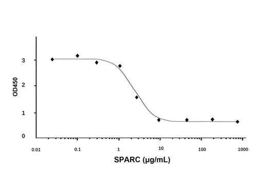 recombinant human sparc protein