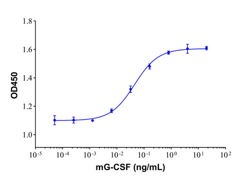 recombinant mouse g-csf protein