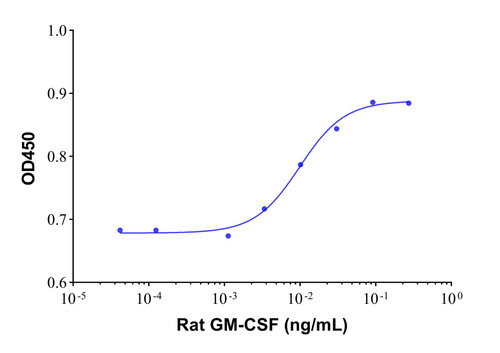 recombinant rat gm-csf protein