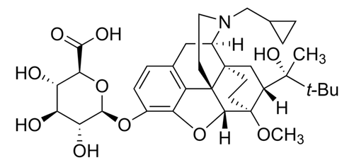 buprenorphine glucuronide solution