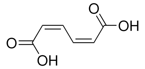 cis,cis-muconic acid