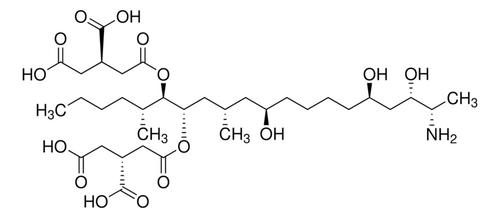 fumonisin b1 from fusarium moniliforme (c15-1206-450)