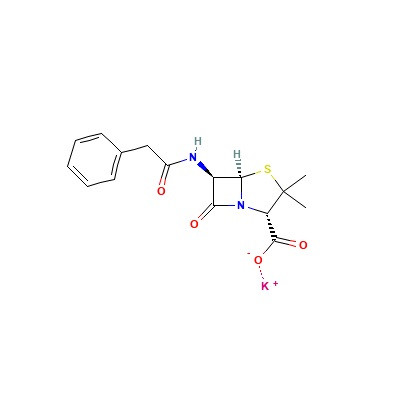 penicillin g potassium salt (c09-1017-980)