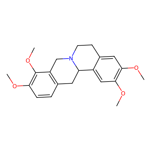 rotundine (c09-1023-071)
