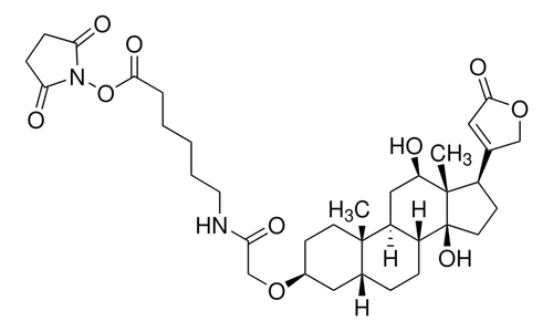 modifier digoxigenin-nhs ester