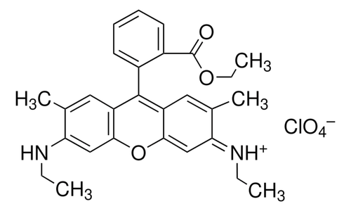 rhodamine 6g perchlorate