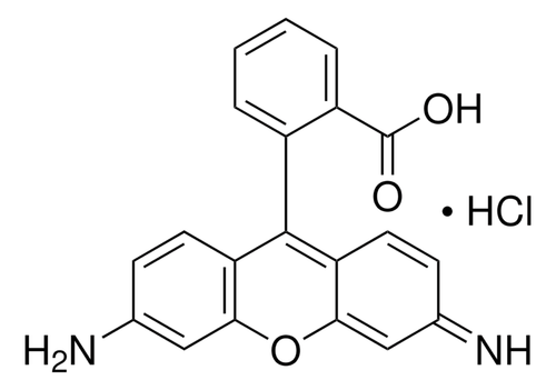 rhodamine 110 chloride (c15-1213-077)