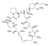 everolimus system suitability mixture