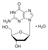 2'-deoxyguanosine monohydrate (c15-1230-246)