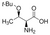 o-tert-butyl-l-threonine