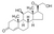corticosterone (c15-1244-299)
