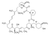 rapamycin