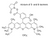 atto 590 nhs ester (c15-1256-692)