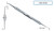 cleoid-discoid # cd 3/4 165mm