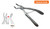 extraction forceps paed upper molars