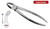 extraction forceps lower molars/wisdom