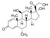 methylprednisolone (c15-1284-251)