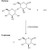 alpha-glucosidase from rice