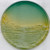 wl nutrient agar (c15-1296-795)