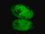 lentibrite gfp-rad51 lentiviral biosensor