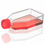 diamond suregro cell culture flask, non-treated, 50ml, vent cap, sterile, 10/bag, 200/case (c062b-016511)
