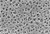 ca membrane 0.8um 293mm (c062b-016600)