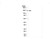 anti-utx (kdm6a) (c15-1316-980)