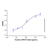 recombinant human lair2 protein (c007b-567388)