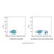 recombinant cd19 antibody (af555) (c007b-575830)