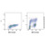 recombinant brdu antibody (c007b-591246)