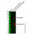 mcherry mouse mab (c007b-592053)