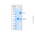 recombinant canine cd8 protein (c007b-598753)