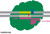 cas9-d10a nickase protein (c15-1347-163)