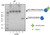 enzymatic protein biotinylation kit