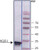 dt diaphorase (nqo1) human