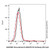 recombinant il3ra/cd123 antibody (pe-cy5) (c007b-609735)