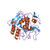 Proteinase K, Lyophilized, 5g