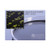 BCYE Selective Agar with CAV Antibiotics (Buffered Charcoal Yeast Extract), 15x100mm plate