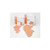 Adhesive Dressing, 5" x 5", 10/pkg, 4 pkg/cs (125 cs/plt)