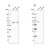 anti-optn antibody produced in rabbit (c15-1445-918)