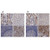 anti-dbt antibody produced in rabbit (c15-1451-074)