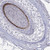 anti-krt40 antibody produced in rabbit