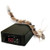 cntl w/htg tape 1x4ft 120v c