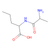 dl-alanyl-dl-norvaline
