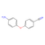 4-(4-aminophenoxy)benzonitrile