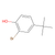 2-bromo-4-tert-butylphenol
