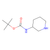 (r)-3-(boc-amino)piperidine