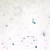 prepsld green algae