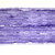 prepsld striated muscle ls