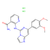 bay 61-3606 dihydrochloride